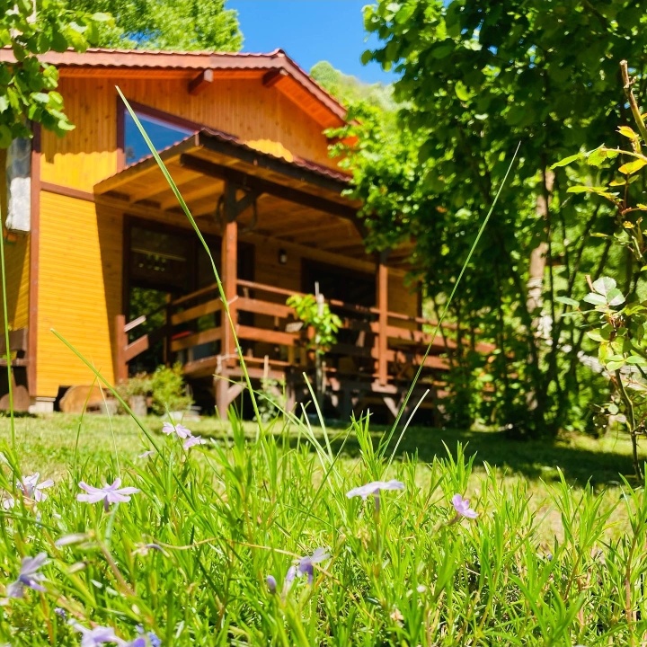 Sapanca Kartal Vadisi Bungalov