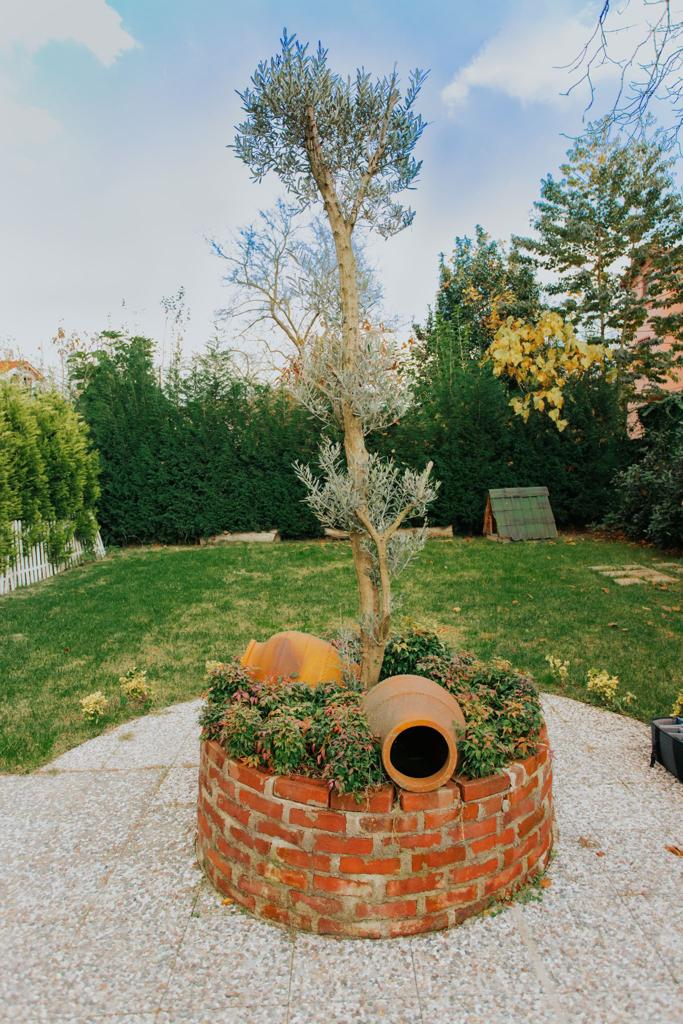 Sapanca Adesa Bungalov