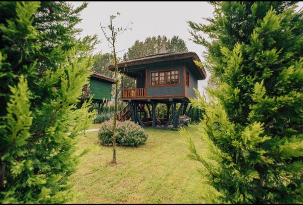 Sapanca Bamboolov Resort