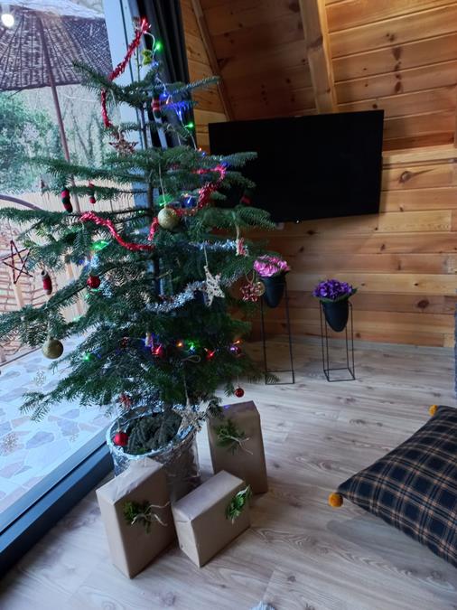 Sapanca Pir Bungalov