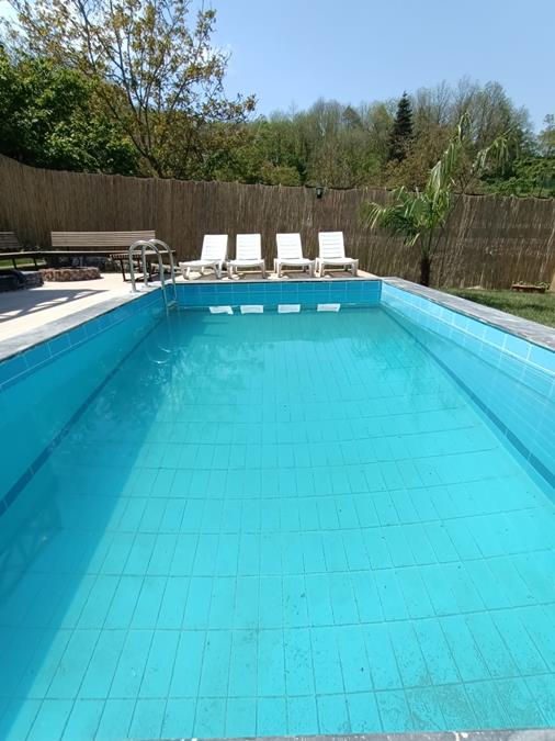Sapanca Bungalife Bungalov 2
