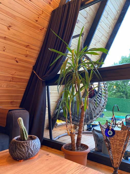 Sapanca Frezya Bungalov