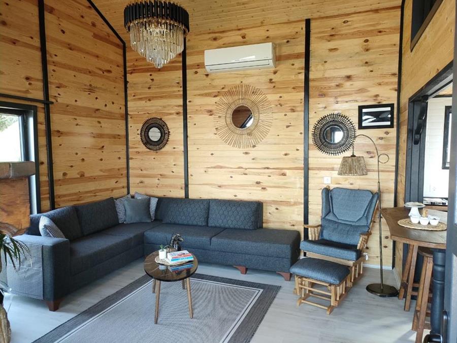 Sapanca Lake View House Bungalov
