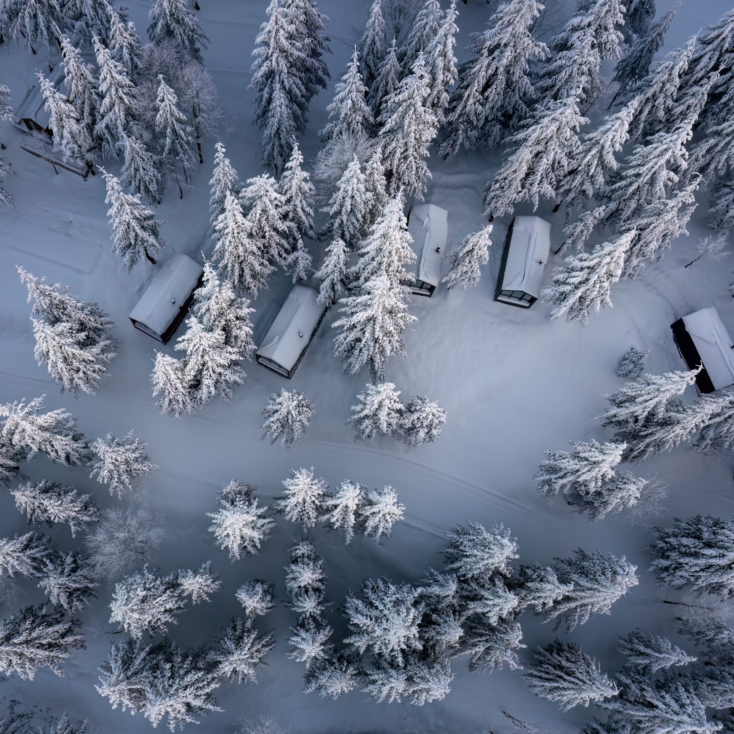 Kartepe Tumba Sisli Vadi Bungalov
