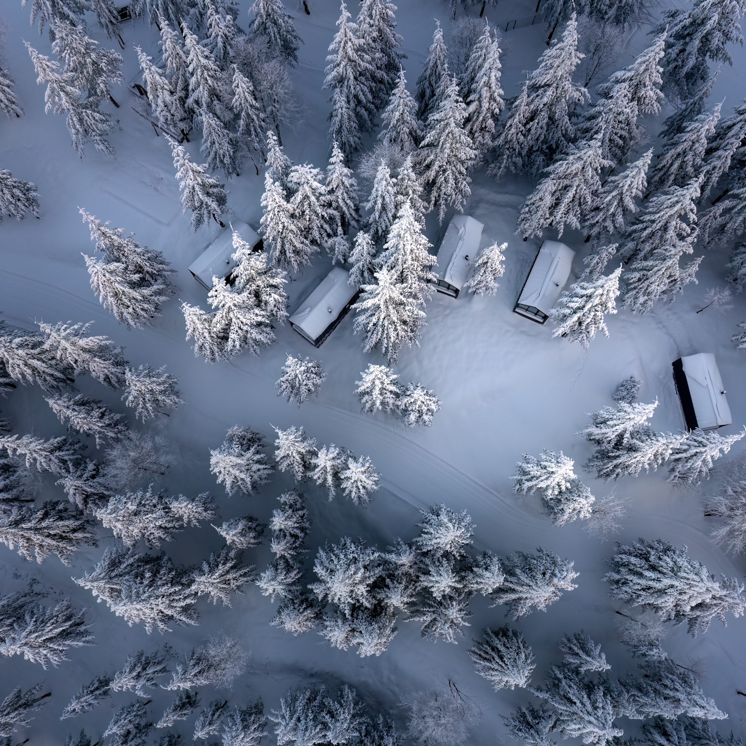 Kartepe Tumba Sisli Vadi Bungalov