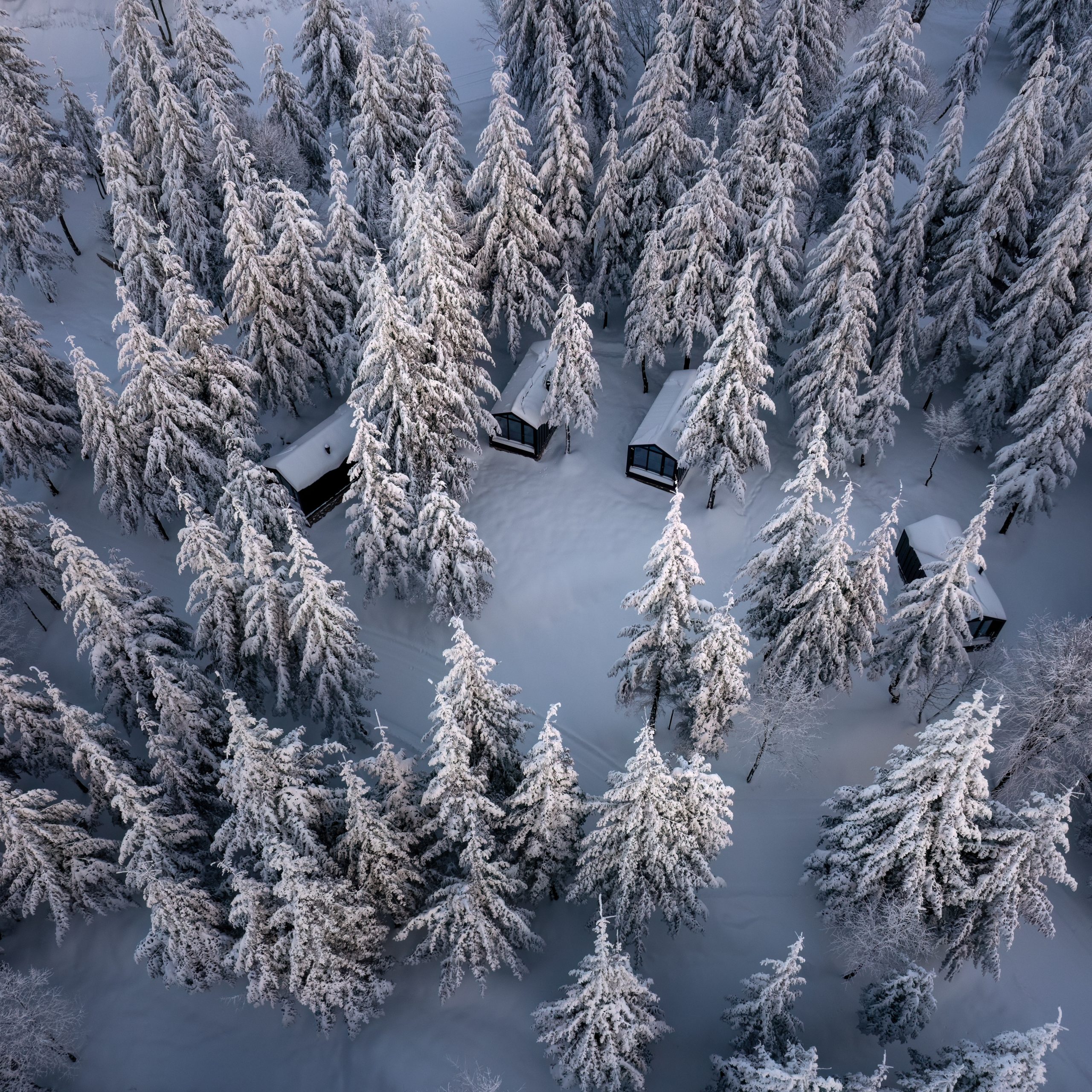 Kartepe Tumba Sisli Vadi Bungalov