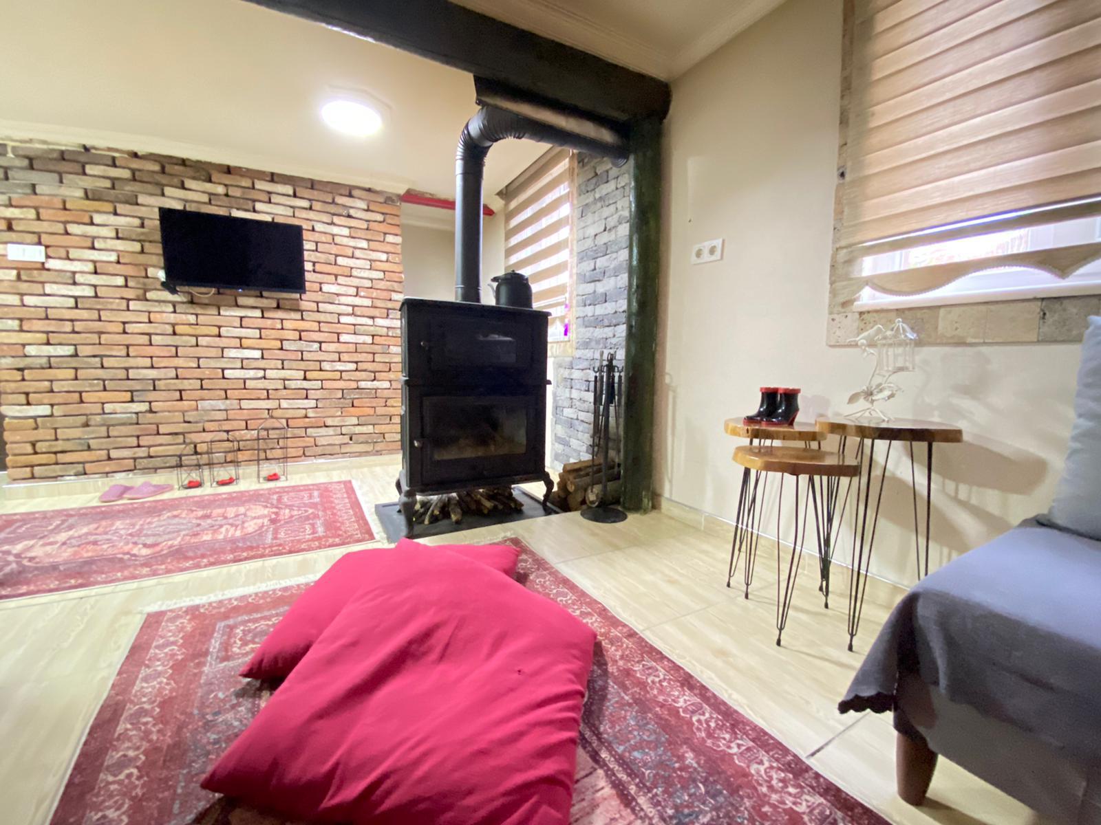 Sapanca Natural Village Villa