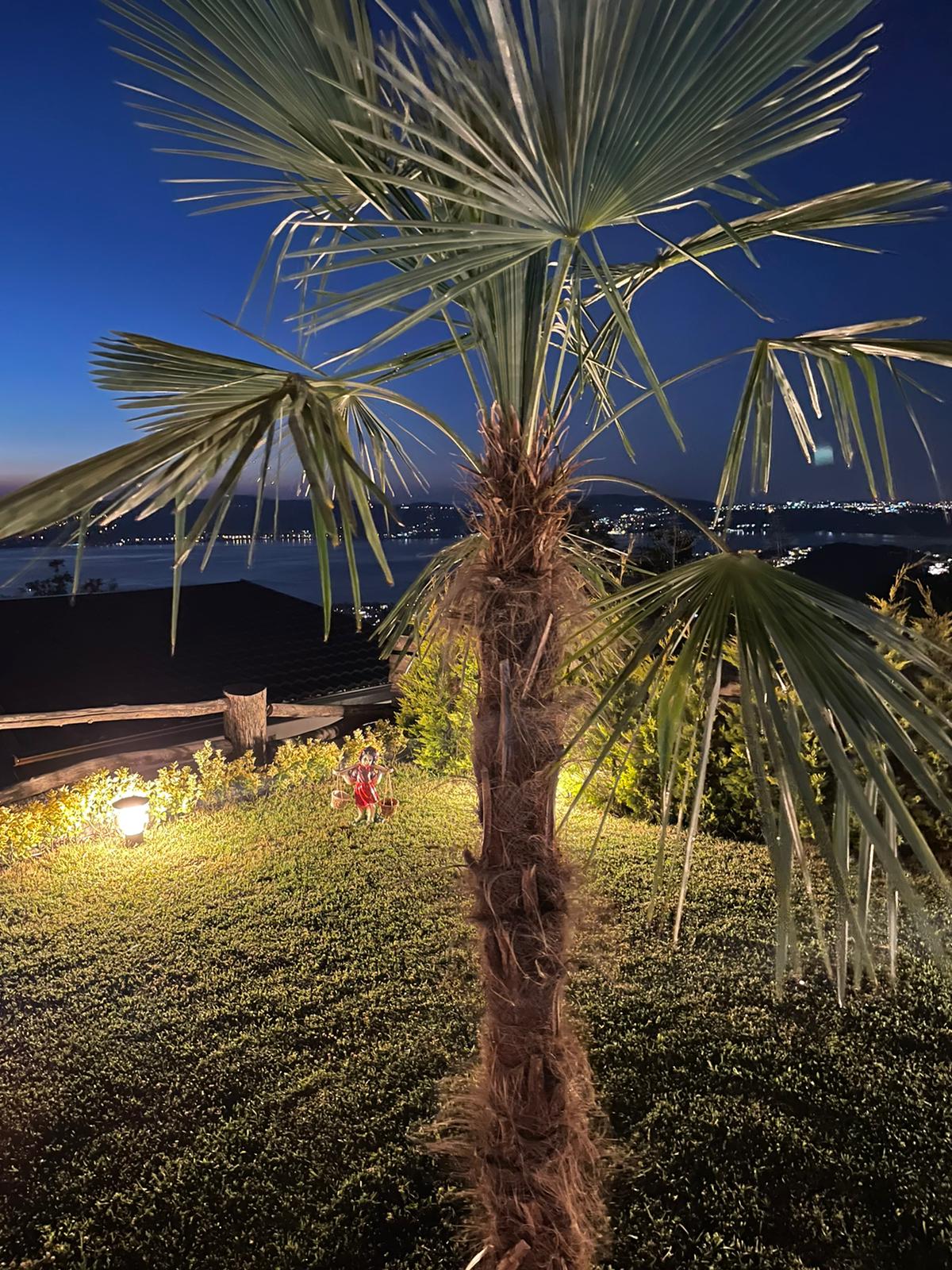 Sapanca Asya Bungalov