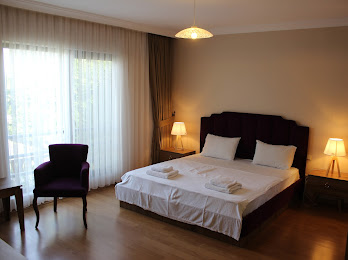 Sapanca Lake Villaları 9