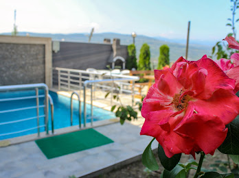 Sapanca Lake Villaları 5