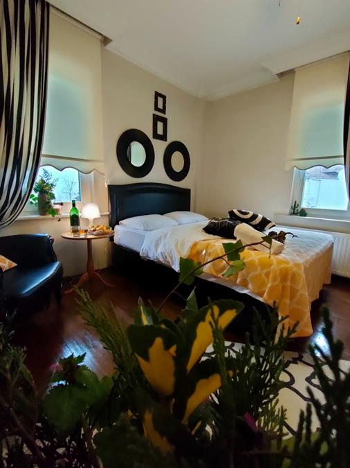 Sapanca Butik Konuk Evi