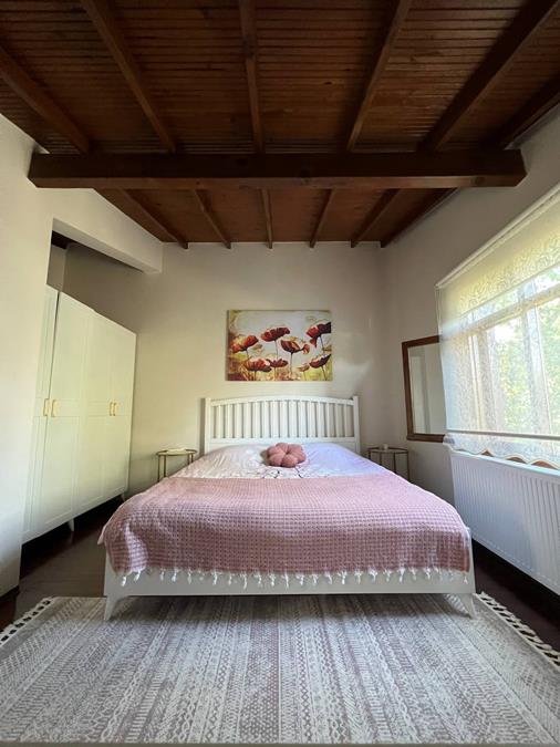 Sapanca Pisagor Villa