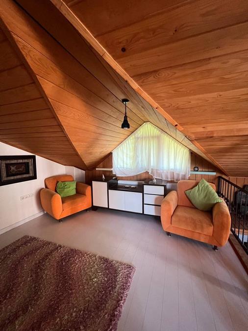 Sapanca İsland Villa