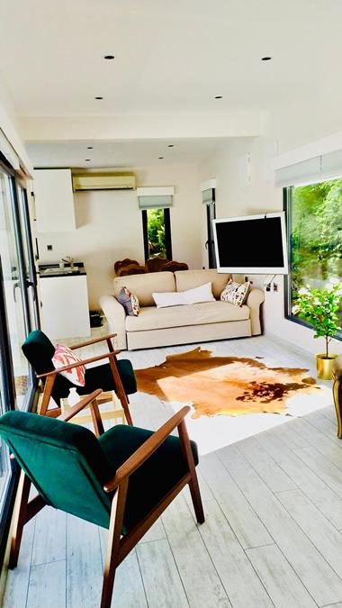 Sapanca Concord Villa