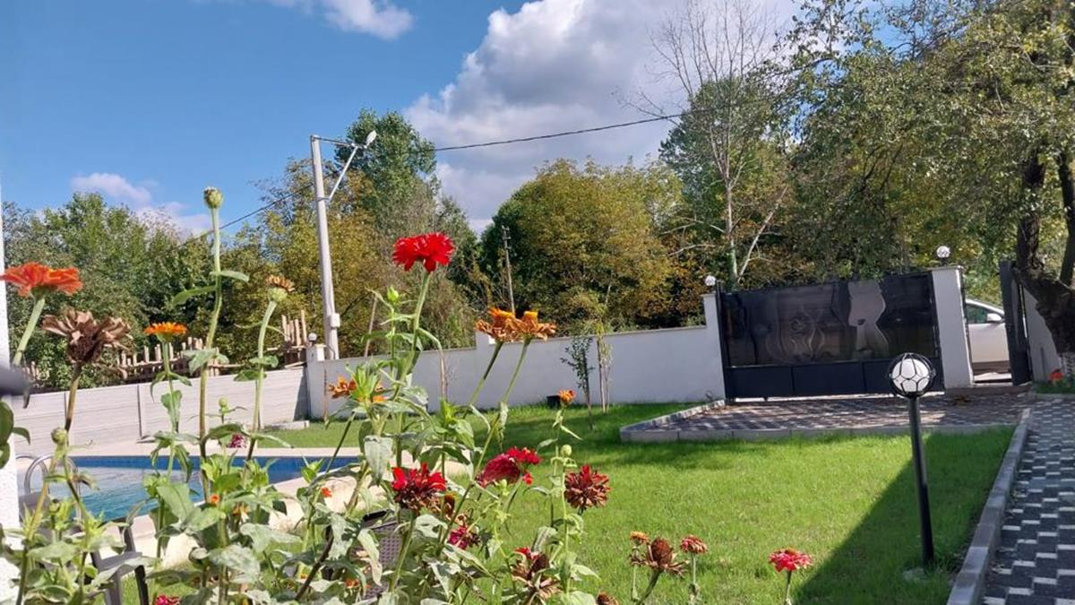 Sapanca Dolunay Villa 2