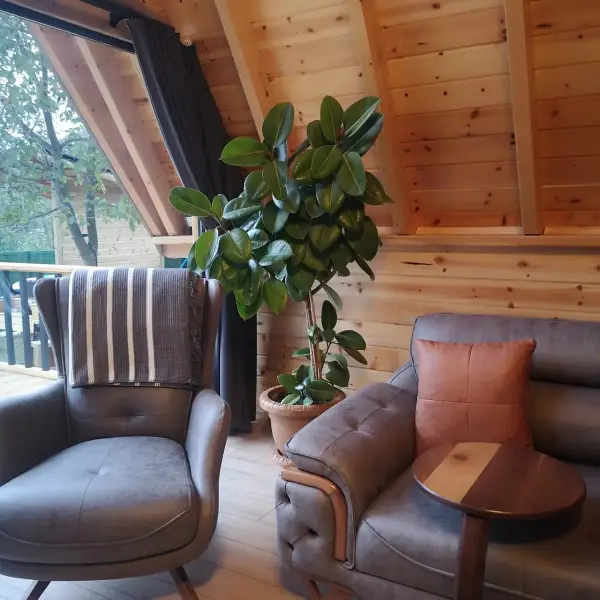 Sapanca Royal Bungalov