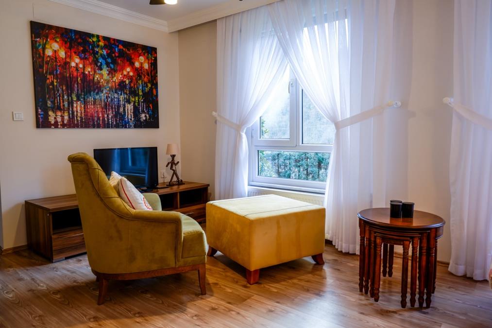 Sapanca Blue Villa