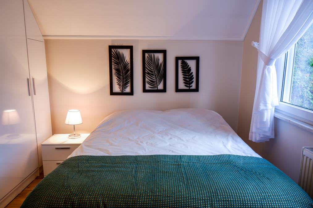 Sapanca Blue Villa
